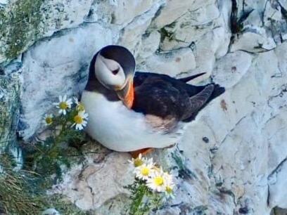 Happy Days Holidays Flamborough